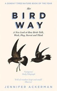 Bird Way