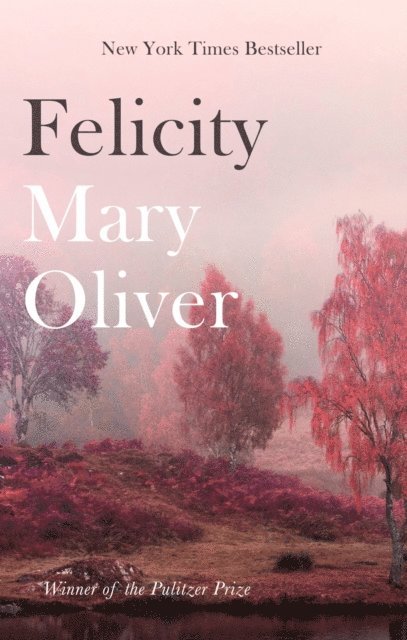 Mary Oliver - Felicity, E-bok