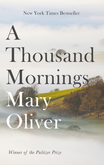 Mary Oliver - Thousand Mornings, E-bok