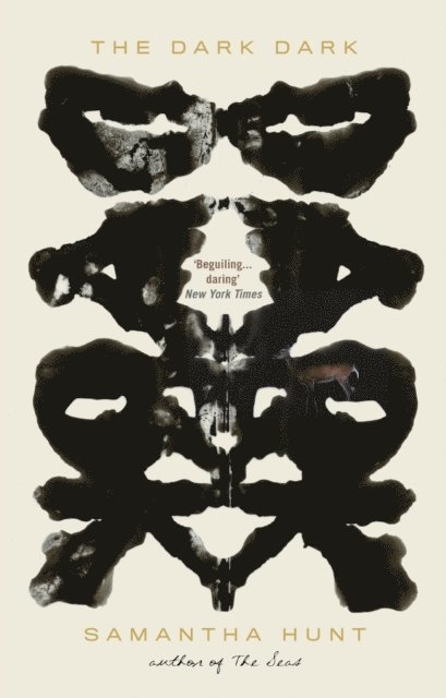 Samantha Hunt - Dark Dark, E-bok