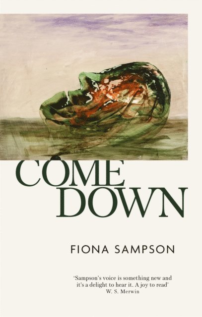 Fiona Sampson - Come Down, E-bok
