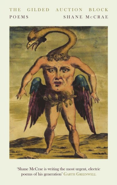 Shane McCrae - Gilded Auction Block: Poems, E-bok