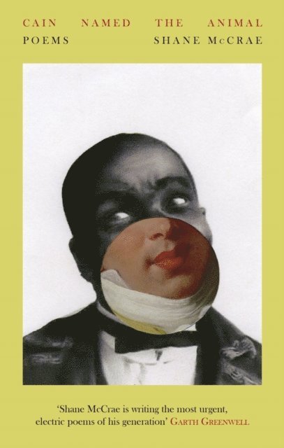 Shane McCrae - Cain Named The Animal, E-bok