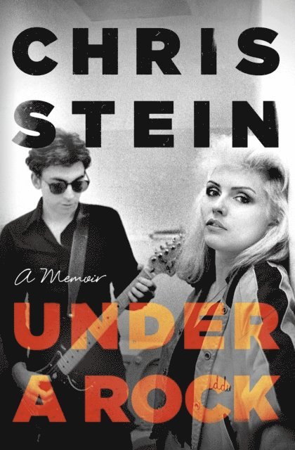 Chris Stein - Under A Rock, E-bok