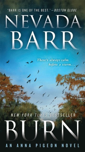 Nevada Barr - Burn (Anna Pigeon Mysteries, Book 16), E-bok