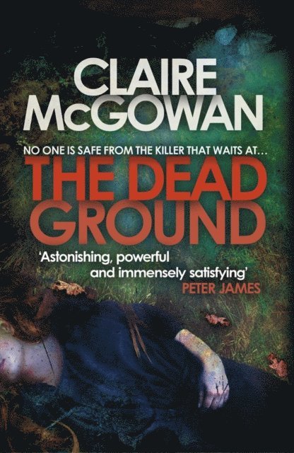 Claire McGowan - Dead Ground (Paula Maguire 2), E-bok