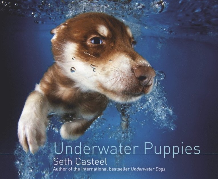 Seth Casteel - Underwater Puppies, E-bok. Tillgänglighet: Lägg i varukorg