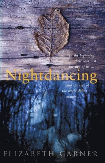 Elizabeth Garner - Nightdancing, E-bok