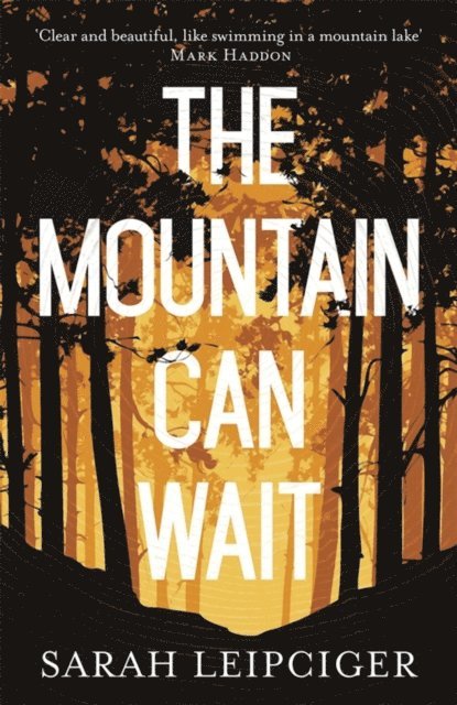 Sarah Leipciger - Mountain Can Wait, E-bok