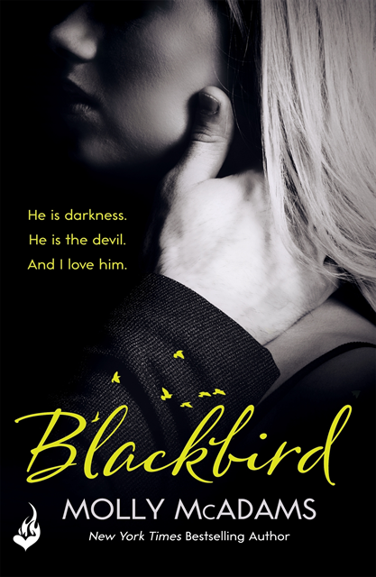 Molly McAdams - Blackbird, E-bok