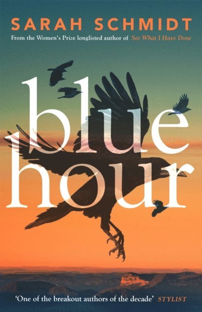 Sarah Schmidt - Blue Hour, E-bok