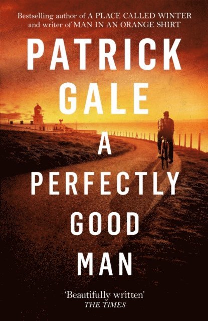Patrick Gale - Perfectly Good Man, E-bok