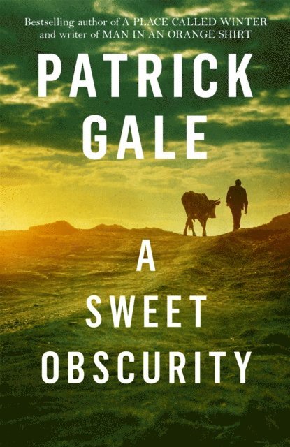 Patrick Gale - Sweet Obscurity, E-bok