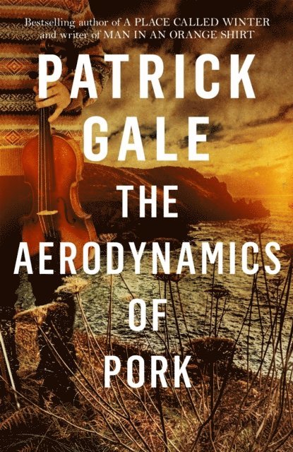 Patrick Gale - Aerodynamics of Pork, E-bok