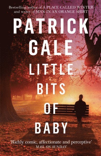 Patrick Gale - Little Bits of Baby, E-bok