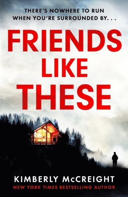 Kimberly McCreight - Friends Like These, E-bok