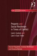 Property and Social Resilience in Times of Conflict