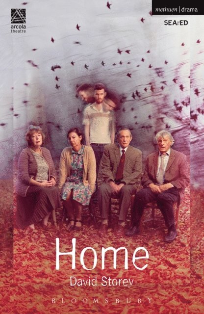 David Storey - Home, E-bok