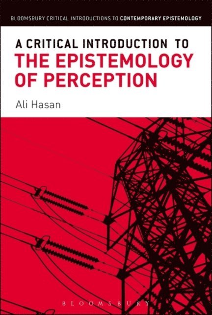 Ali Hasan - Critical Introduction to the Epistemology of Perception, E-bok