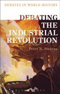 Debating the Industrial Revolution