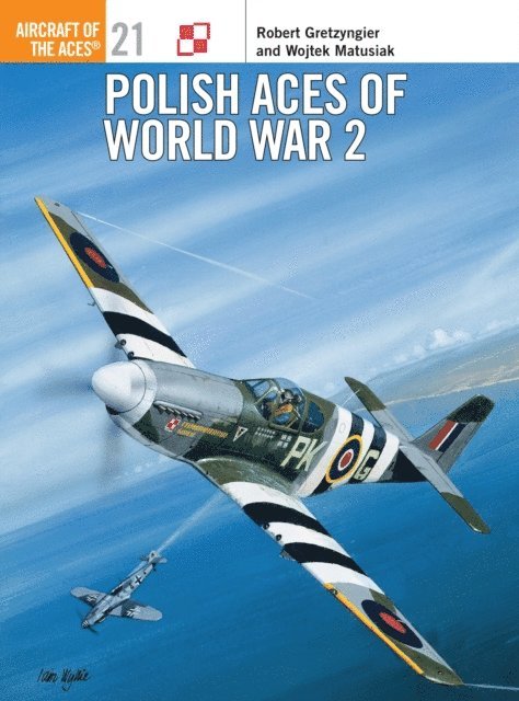 Robert Gretzyngier, Wojtek Matusiak - Polish Aces of World War 2, E-bok