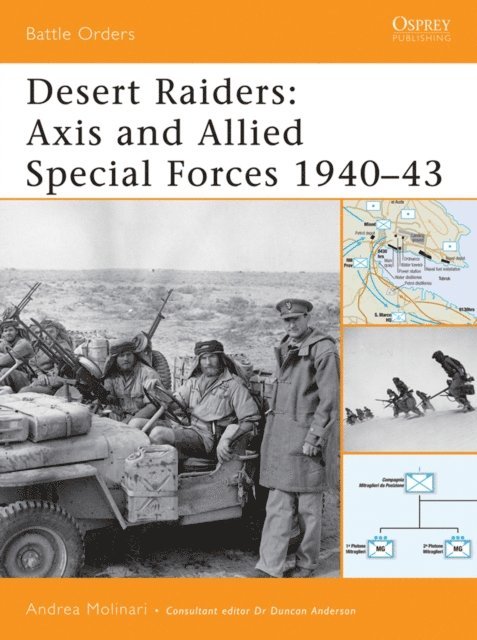 Andrea Molinari - Desert Raiders, E-bok
