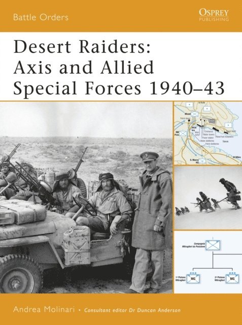 Andrea Molinari - Desert Raiders, E-bok