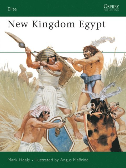 Mark Healy - New Kingdom Egypt, E-bok