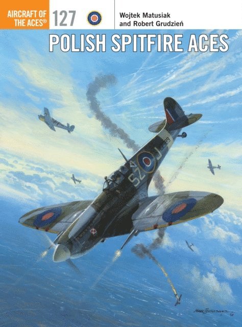 Wojtek Matusiak - Polish Spitfire Aces, E-bok