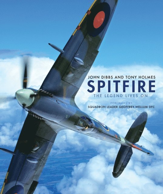 John Dibbs, Tony Holmes - Spitfire, E-bok