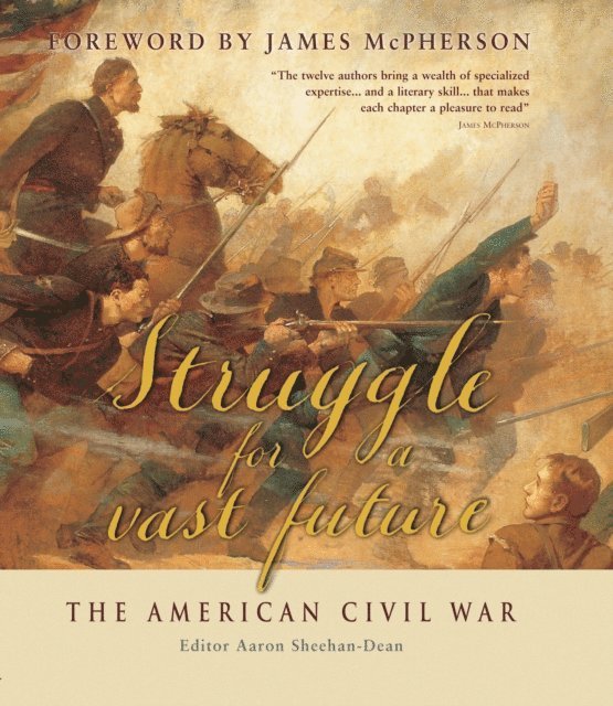 Aaron Sheehan-Dean - Struggle for a vast future, E-bok