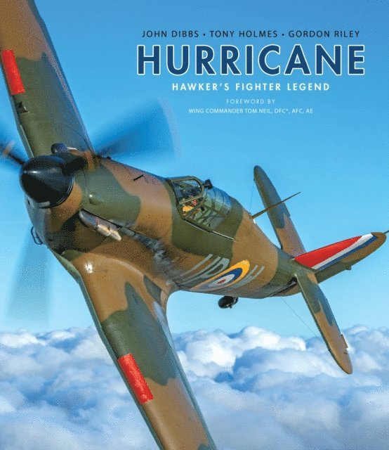 John Dibbs, Tony Holmes, Gordon Riley - Hurricane, E-bok
