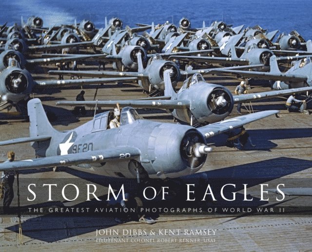 John Dibbs, Kent Ramsey, Robert "Cricket" Renner - Storm of Eagles, E-bok