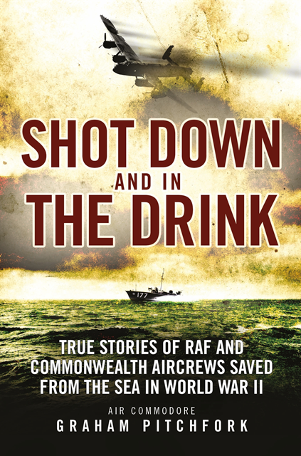 Graham Pitchfork - Shot Down and in the Drink, E-bok