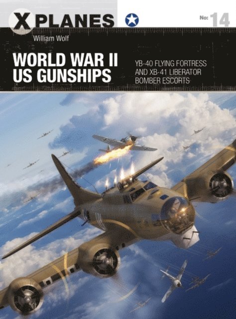 William Wolf - World War II US Gunships, E-bok