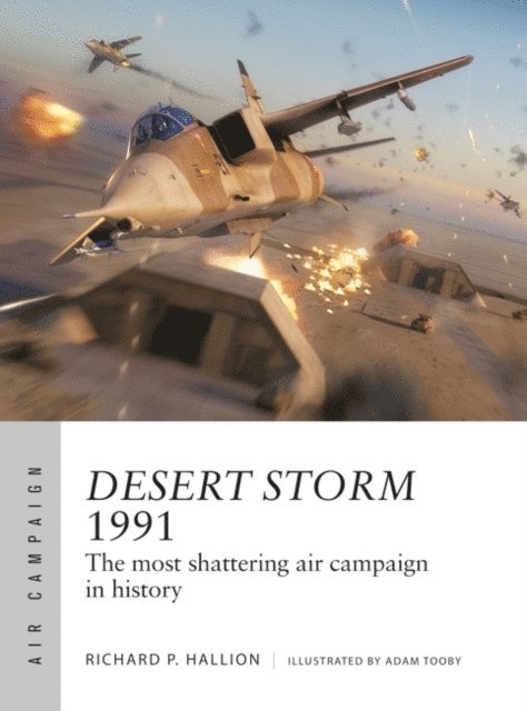 Richard P. Hallion - Desert Storm 1991, E-bok