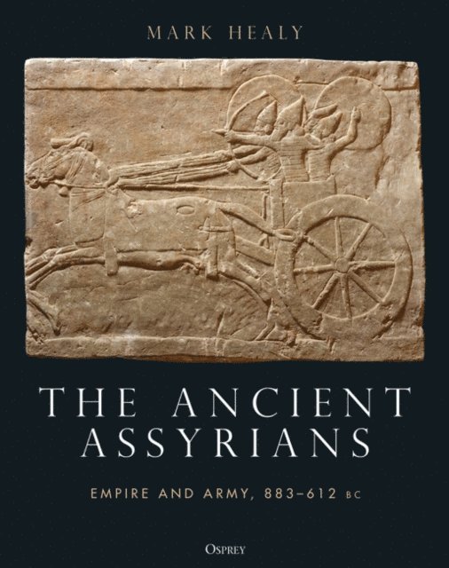 Mark Healy - Ancient Assyrians, E-bok
