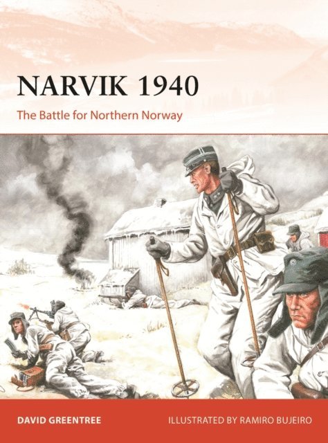 David Greentree - Narvik 1940, E-bok