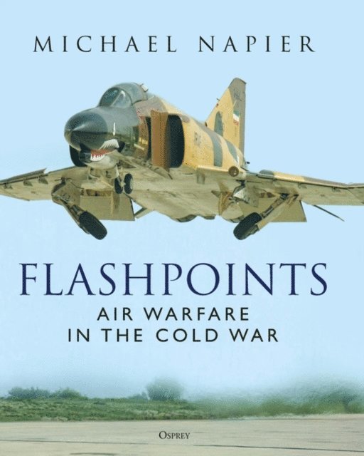 Michael Napier - Flashpoints, E-bok