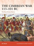 The Cimbrian War 113101 BC
