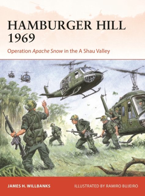 James H. Willbanks - Hamburger Hill 1969, E-bok