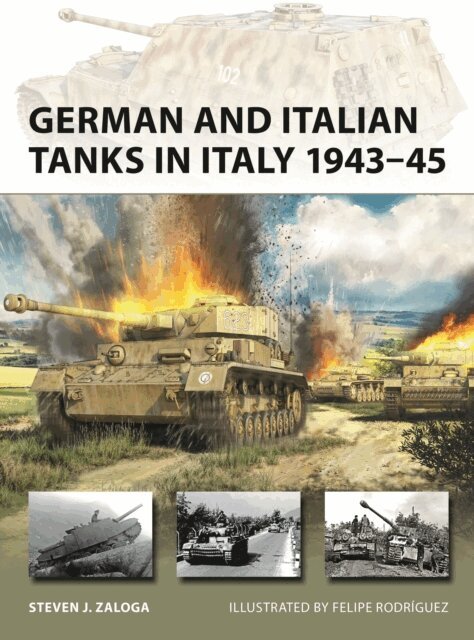 Steven J. Zaloga - German and Italian Tanks in Italy 1943–45, E-bok