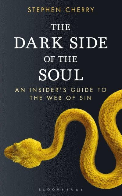 Stephen Cherry - Dark Side of the Soul, E-bok
