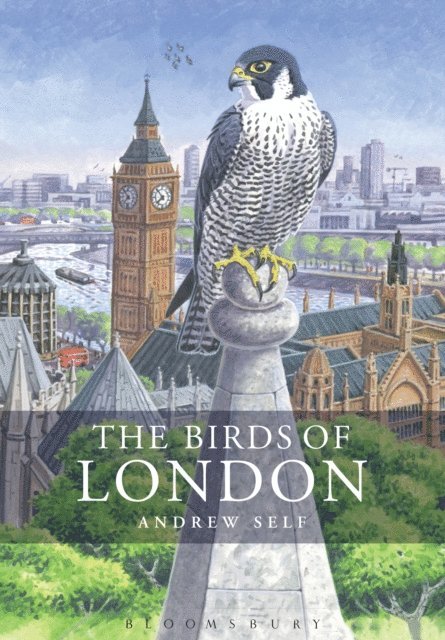 Andrew Self - Birds of London, E-bok