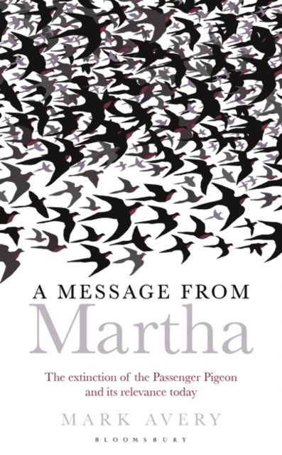 Mark Avery - Message from Martha, E-bok