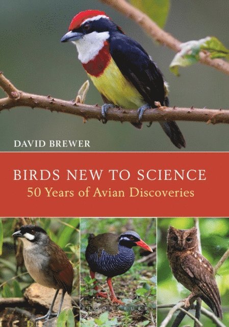 David Brewer - Birds New to Science, E-bok