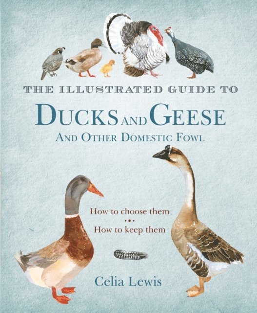 Celia Lewis - Illustrated Guide to Ducks and Geese and Other Domestic Fowl, E-bok
