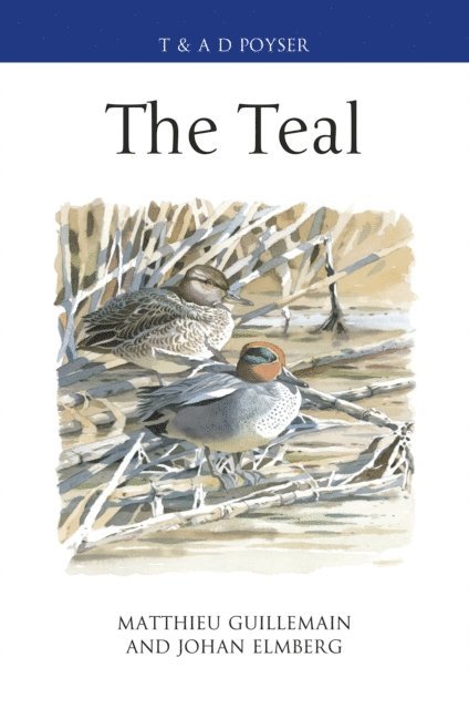 Matthieu Guillemain, Johan Elmberg - Teal, E-bok