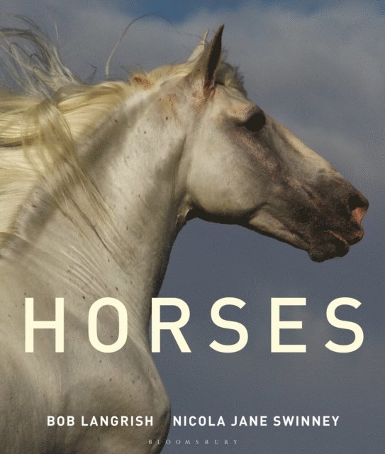 Nicola Jane Swinney - Horses, E-bok. Tillgänglighet: Lägg i varukorg