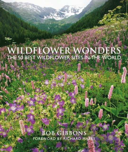 Bob Gibbons - Wildflower Wonders, E-bok